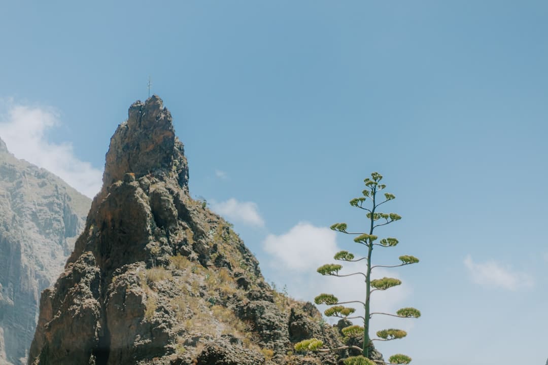 旅行股拉升 众信旅行涨停
